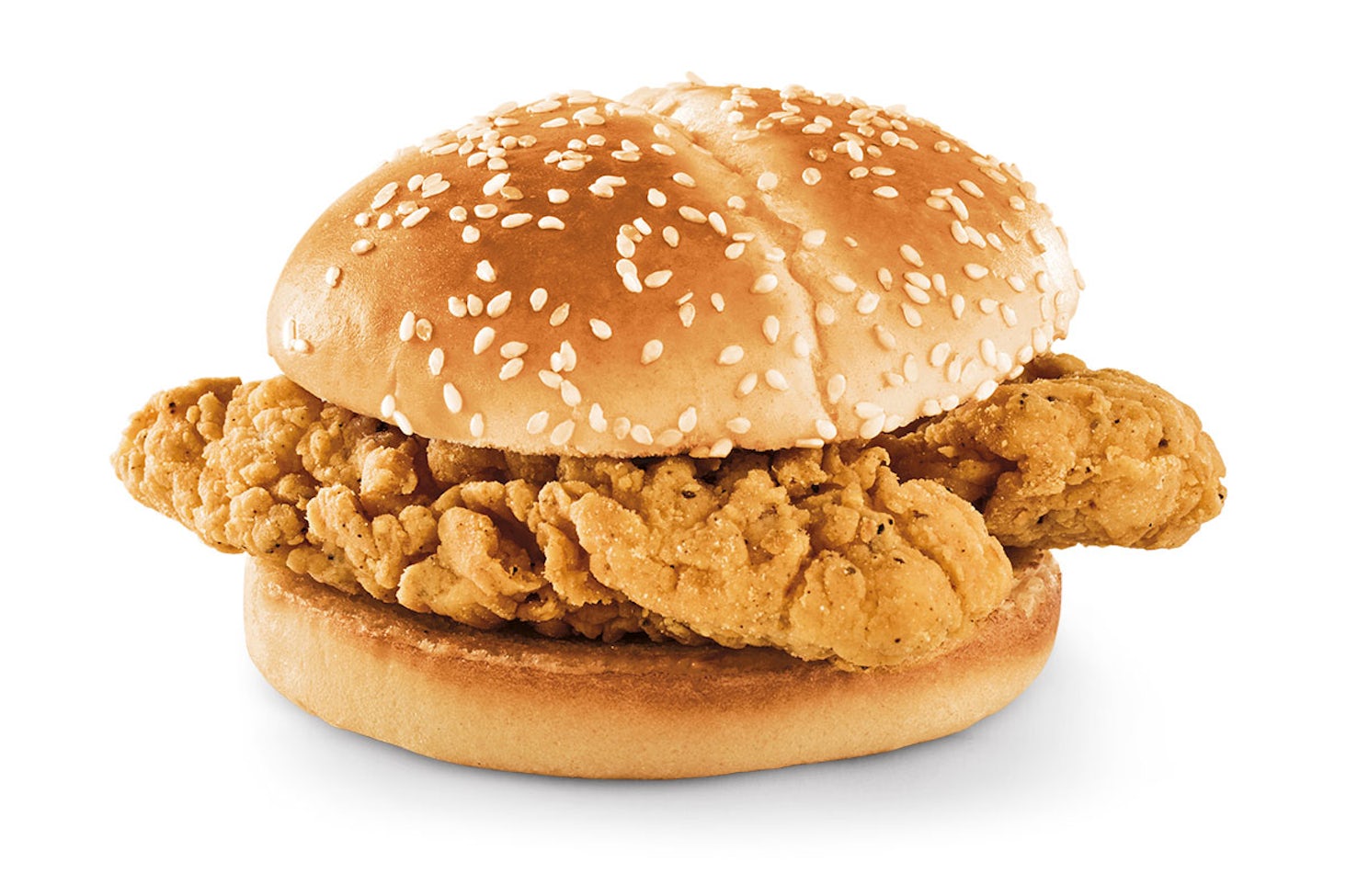 Crispy Tender Sandwich Image